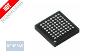 R5F100LEABG#U0