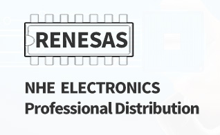 NHE ELECTRONICS, Professional Distribution