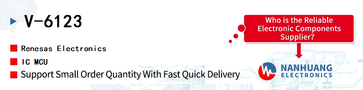 V-6123 Renesas IC MCU